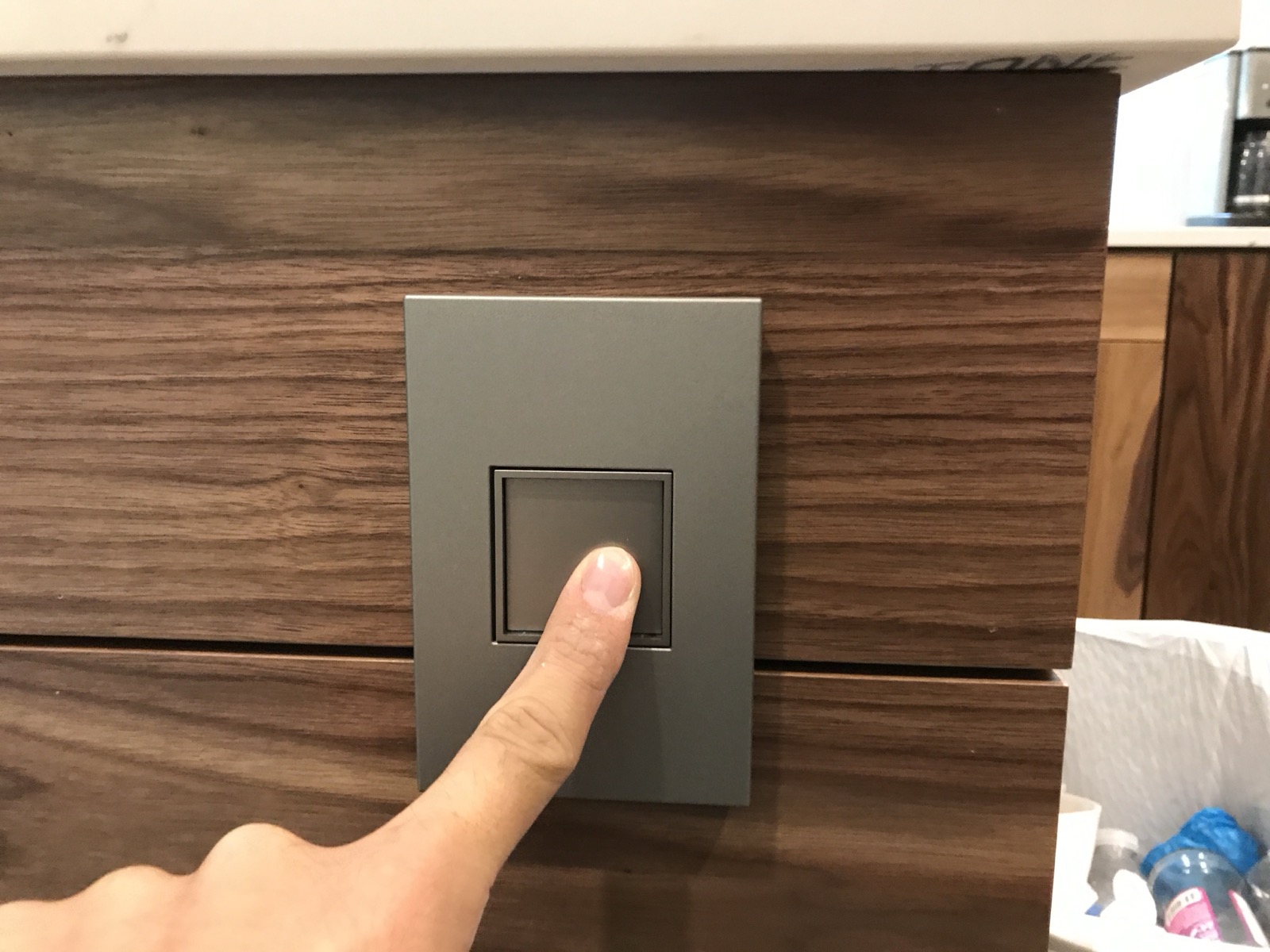 Walnut Detail Wall & Integrated Electrical